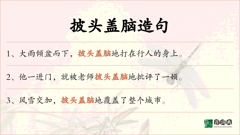 披头盖脑