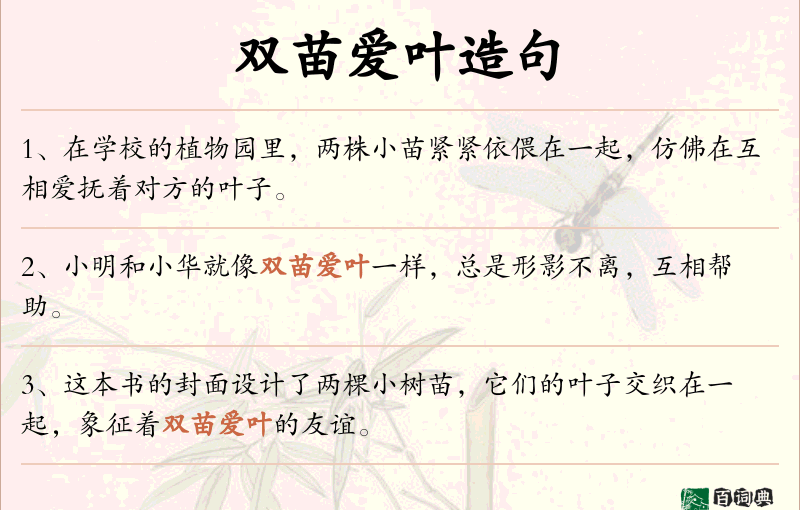 双苗爱叶