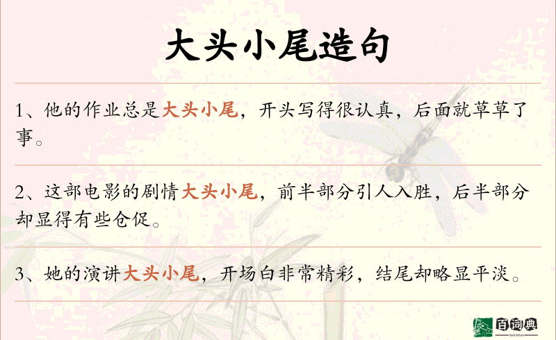 大头小尾
