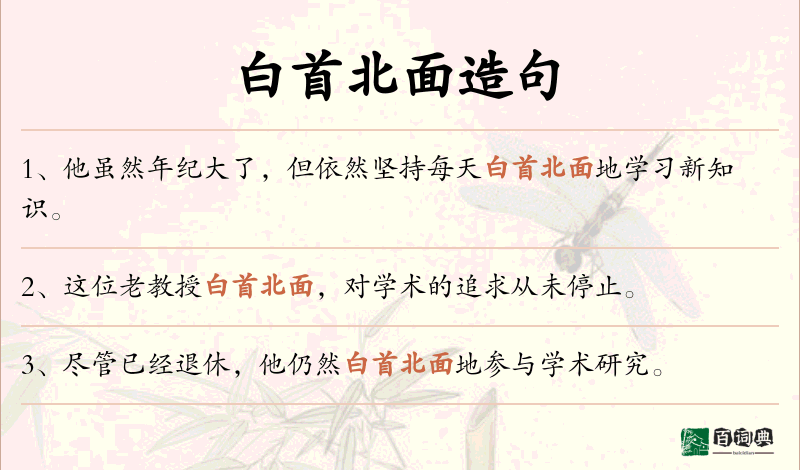 白首北面