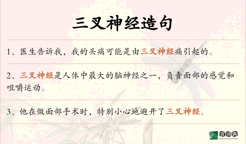 三叉神经