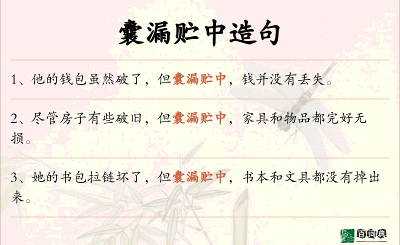 囊漏贮中
