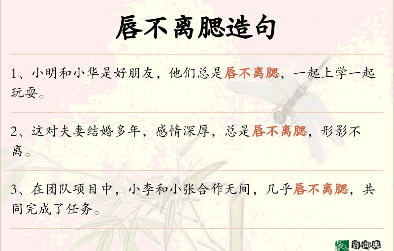 唇不离腮