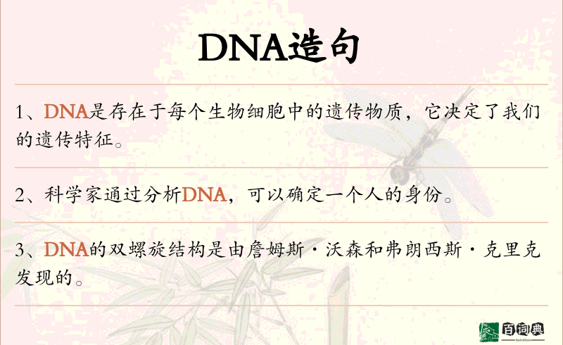 DNA