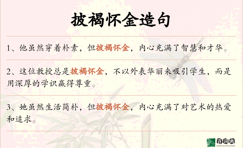 披褐怀金
