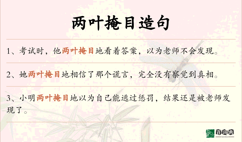 两叶掩目