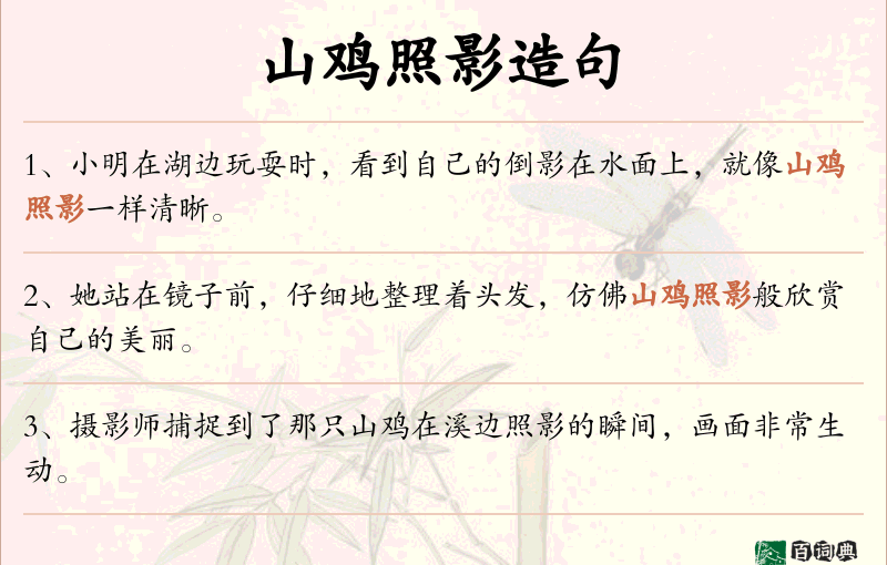 山鸡照影