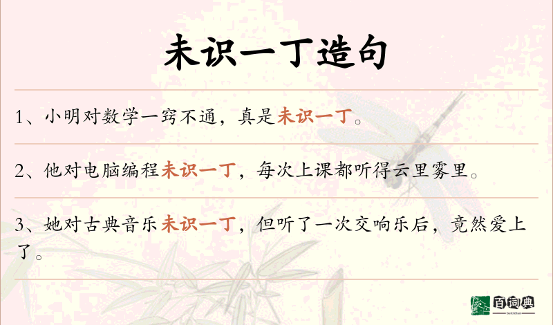 未识一丁