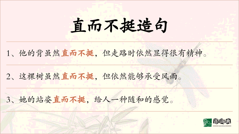 直而不挺