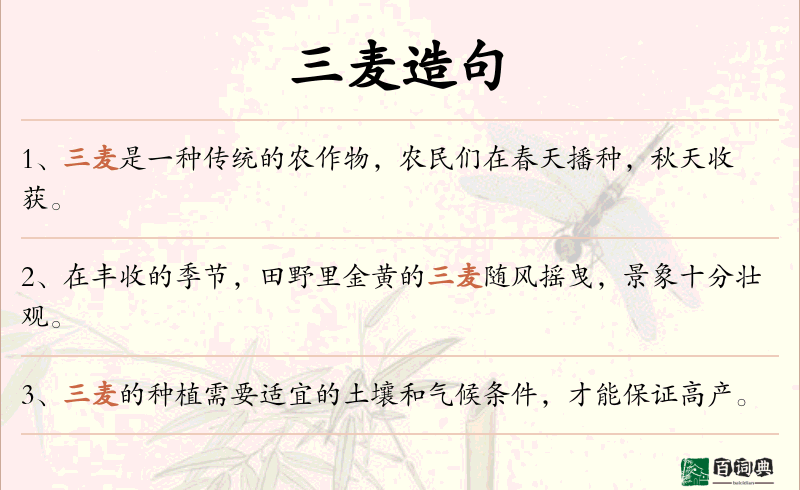 三麦