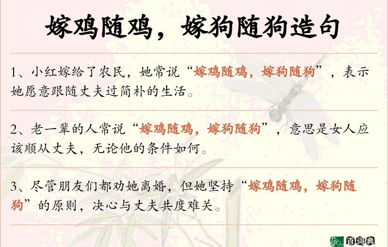 嫁鸡随鸡，嫁狗随狗