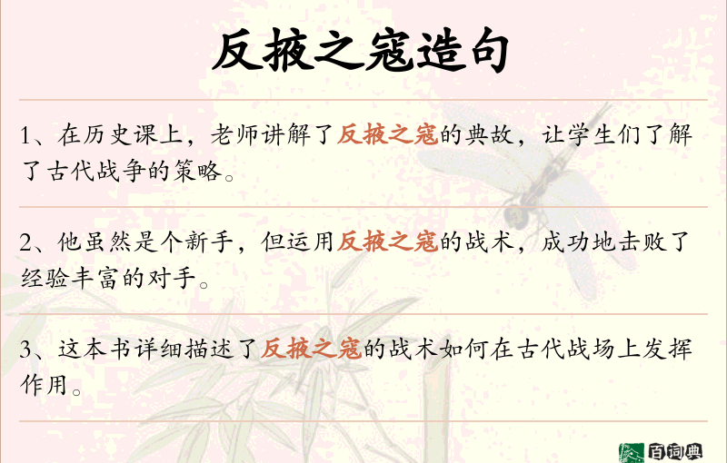 反掖之寇