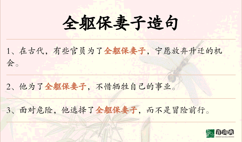 全躯保妻子