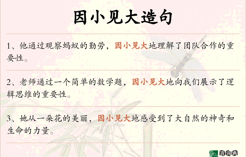 因小见大