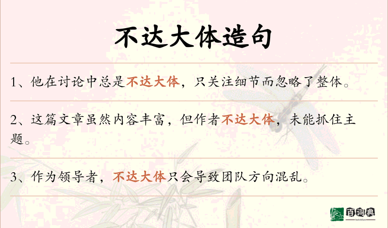 不达大体