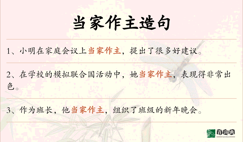 当家作主