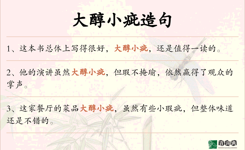 大醇小疵