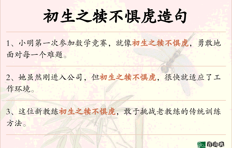 初生之犊不惧虎
