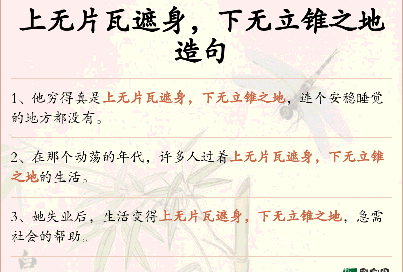 上无片瓦遮身，下无立锥之地