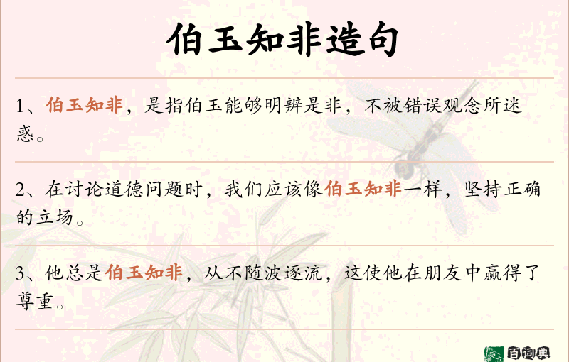 伯玉知非