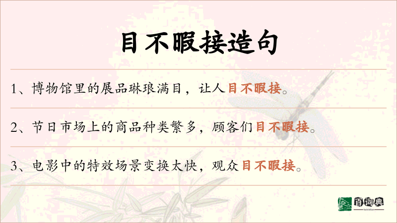 目不暇接