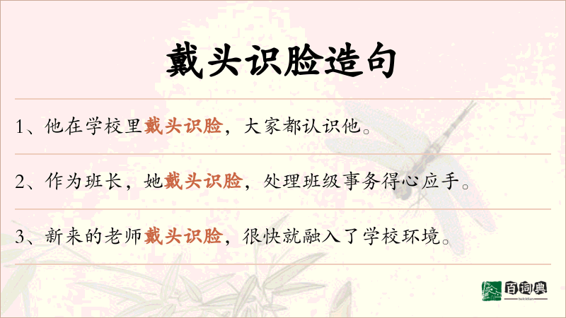 戴头识脸