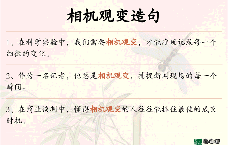 相机观变