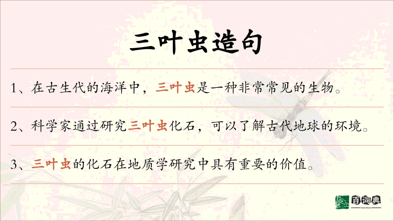三叶虫
