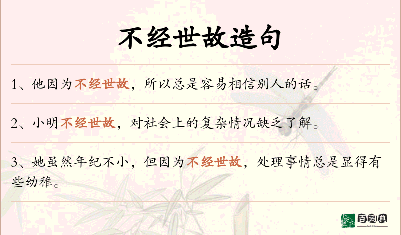 不经世故