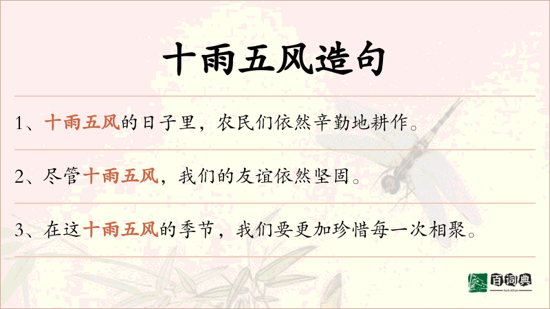 十雨五风