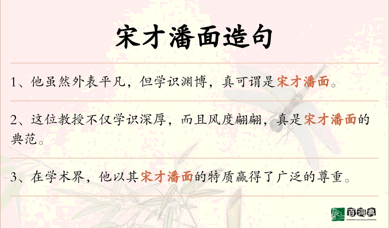 宋才潘面