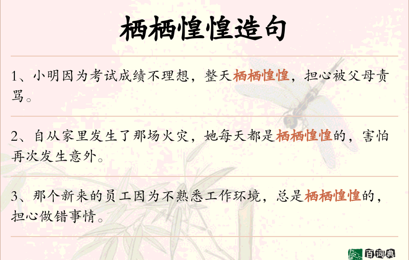 栖栖惶惶