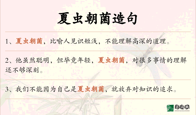 夏虫朝菌