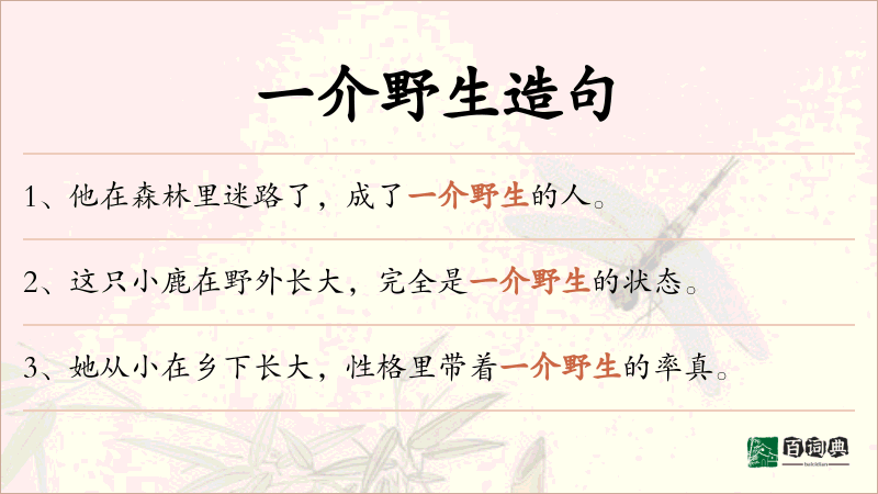 一介野生
