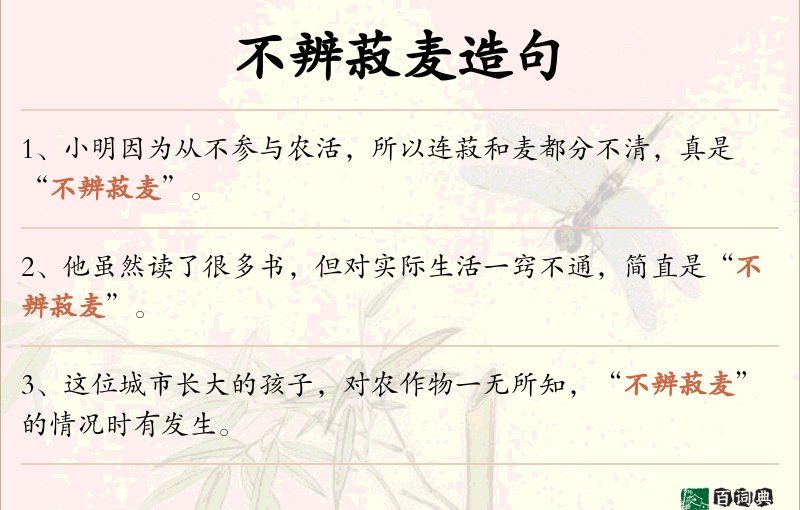 不辨菽麦