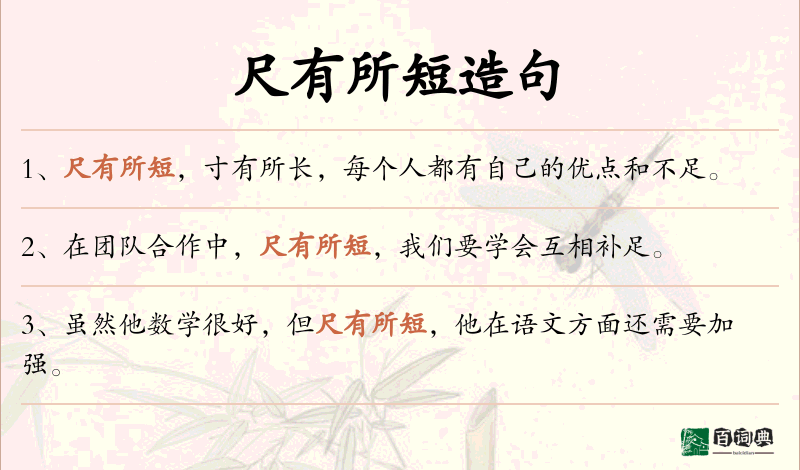 尺有所短