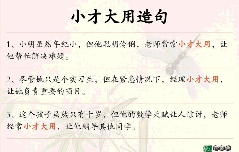 小才大用