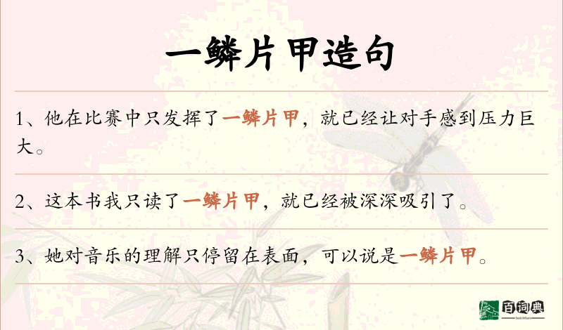 一鳞片甲