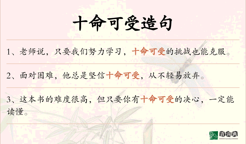 十命可受