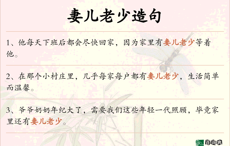 妻儿老少