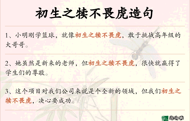 初生之犊不畏虎