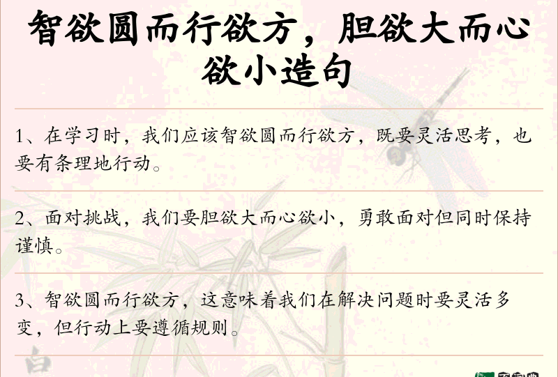 智欲圆而行欲方，胆欲大而心欲小