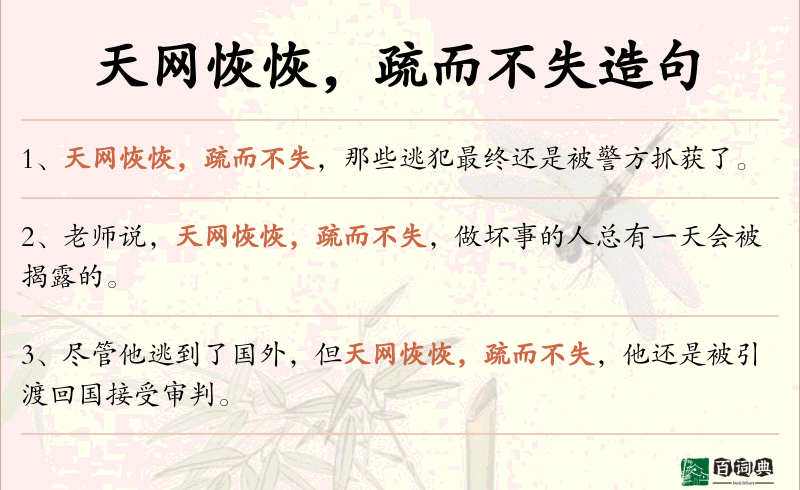 天网恢恢，疏而不失