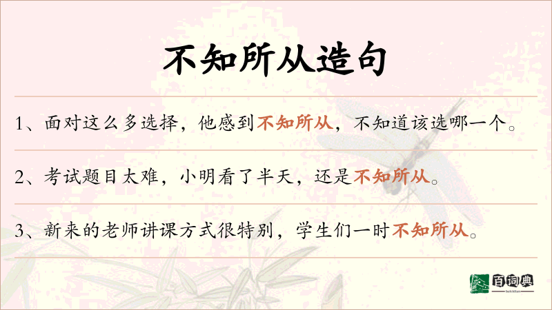 不知所从