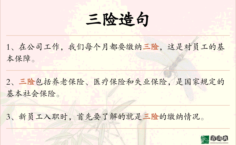 三险