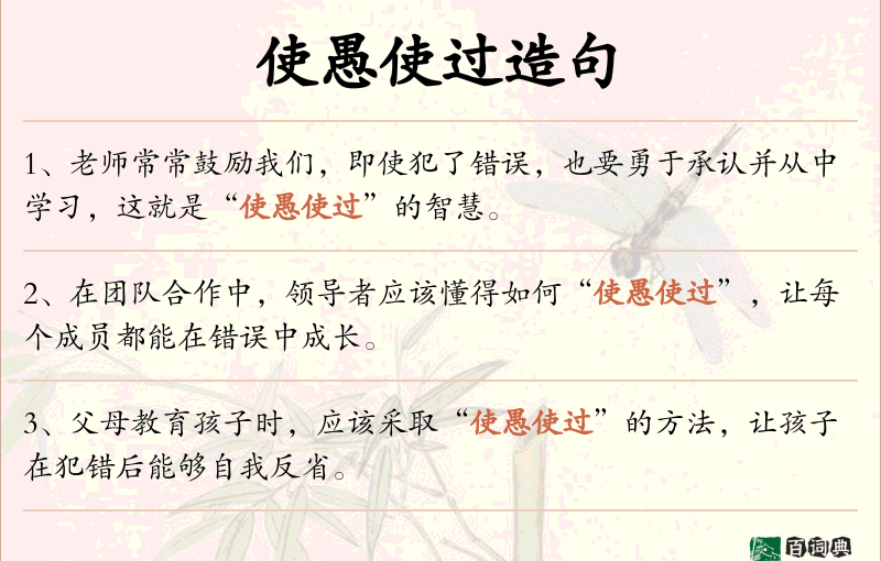 使愚使过