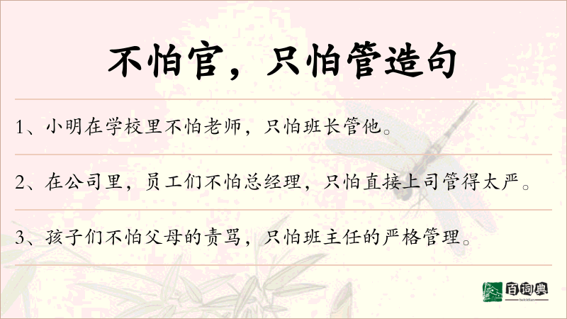 不怕官，只怕管