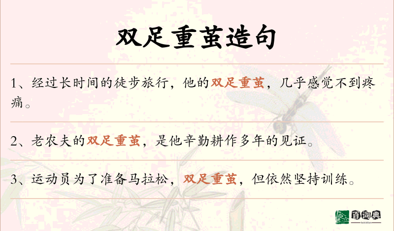 双足重茧