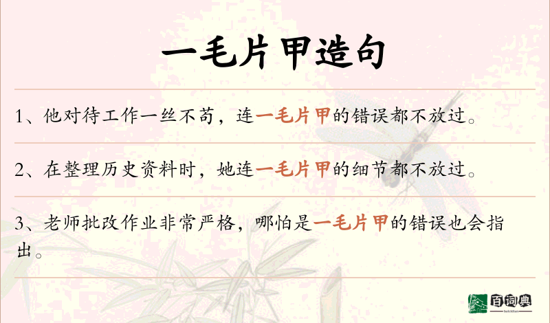 一毛片甲