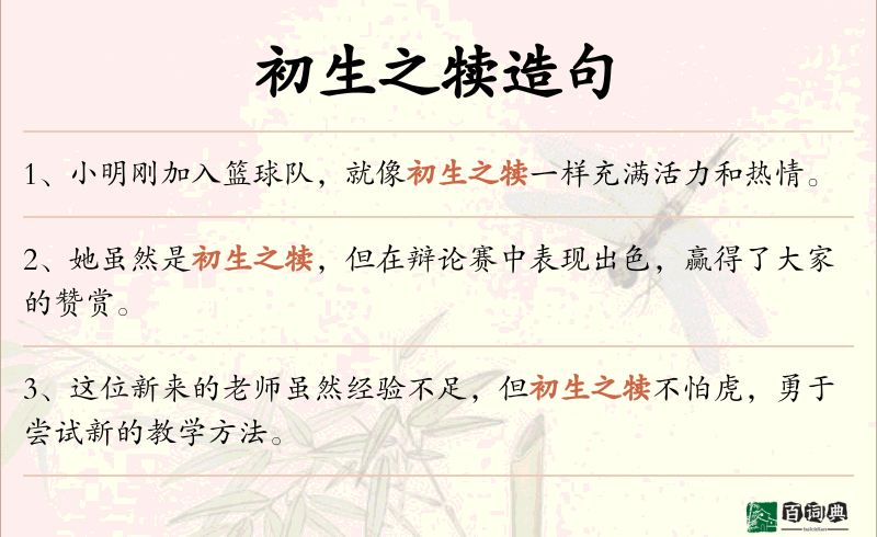 初生之犊